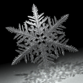 Thumbnail for version as of 00:55, 15 December 2014